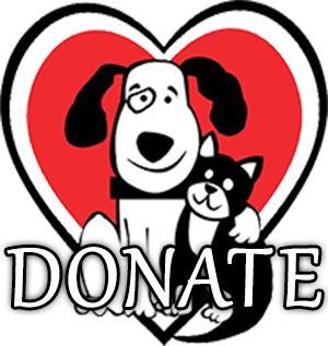FFF Donate